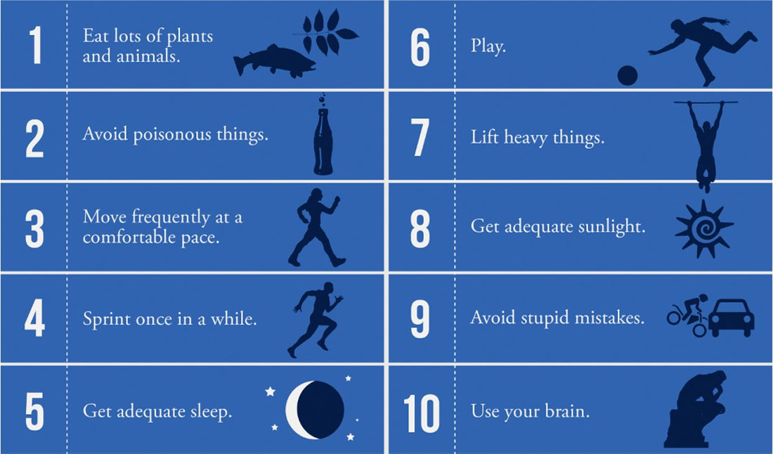 The 10 Laws of The Primal Blueprint